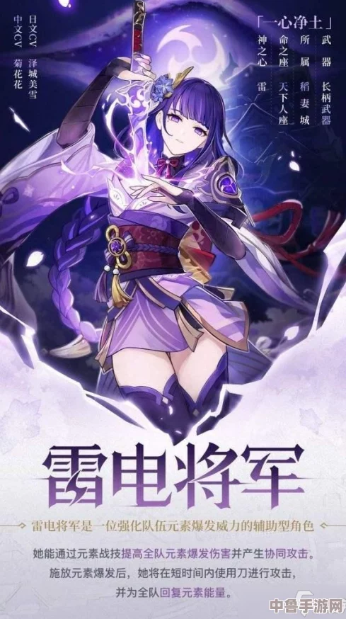 雷电将军二次挑战终极策略：高效击败再临之雷