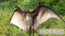 方舟世界：高效驯服脊颌翼龙的绝妙策略与技巧！
