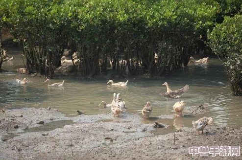 《全境封锁2》高手进阶：精准设置辅助瞄准，提升射击命中率秘籍！