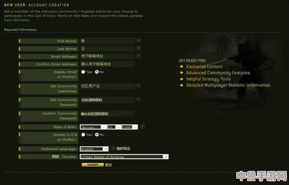 《使命召唤5》终极指南：一键整理存档Profiles，轻松实现窗口模式畅玩！