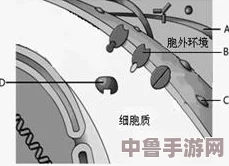 法力注射器图纸绝密位置，探索奇幻世界的能量之源！