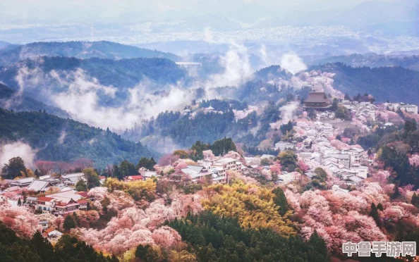 日本高清一区：探索樱花国度的视觉盛宴,感受极致画质带来的震撼体验