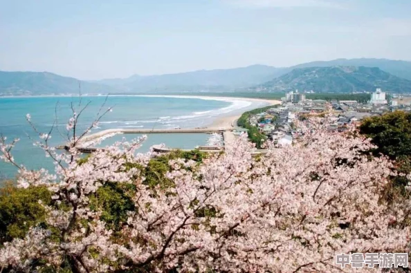 日本高清一区：探索樱花国度的视觉盛宴,感受极致画质带来的震撼体验