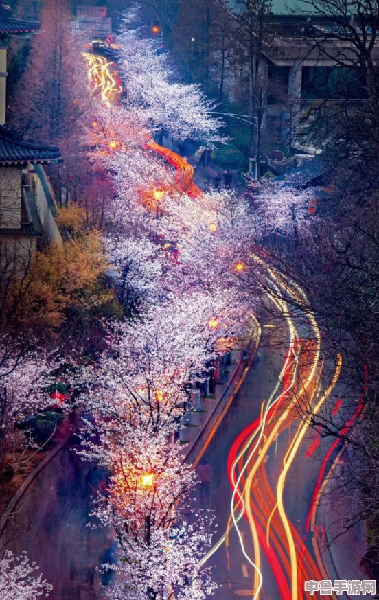 日本高清一区：探索樱花国度的视觉盛宴,感受极致画质带来的震撼体验