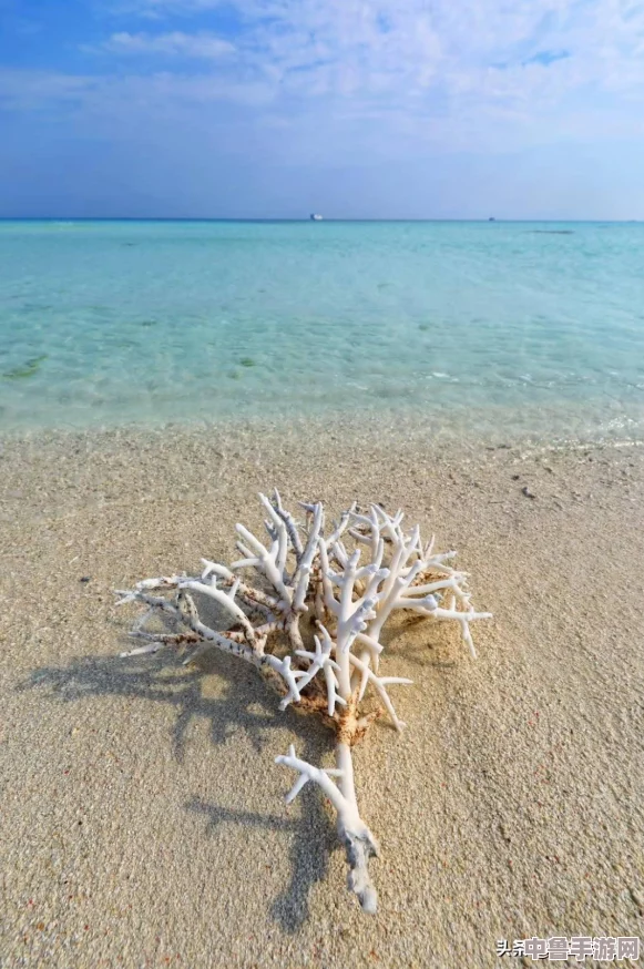 《无尽航线》新手启航秘籍:图文并茂,轻松掌握游戏精髓! 《无尽航线》新手启航秘籍:图文并茂,轻松掌握游戏精髓!