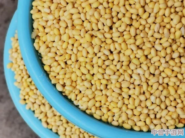 男女一起努力做豆浆有什么动作?这场豆香四溢的"豆浆大作战"让人欲罢不能 男女一起努力做豆浆有什么动作?这场豆香四溢的"豆浆大作战"让人欲罢不能