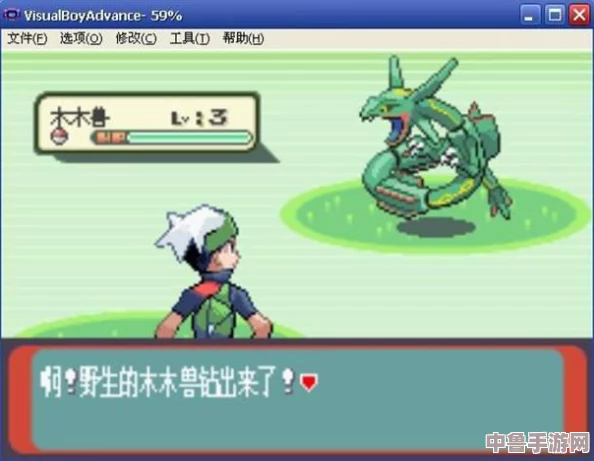 口袋妖怪金手指：代码运用技巧与实战秘籍！