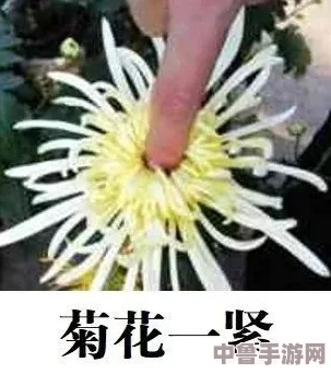 错一道题在菊花里放一支笔，答对一题就拔出来，看谁最后屁股开花