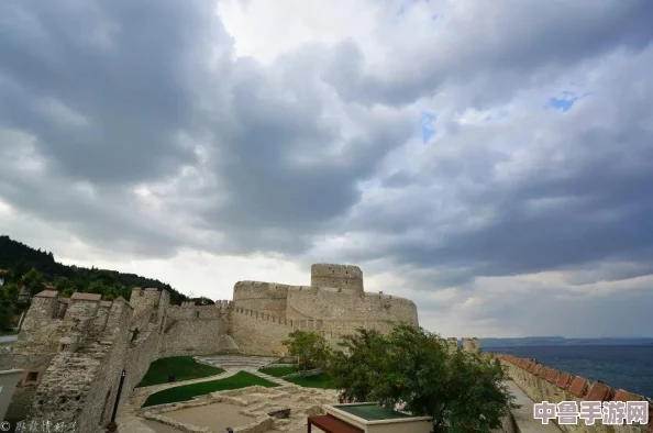 三叶草欧亚码B1B1用户热评：穿上它仿佛走在云端，舒适与时尚完美结合的体验分享