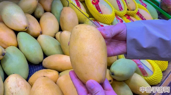 日产精品一线二线三线芒果网友称赞口感绝佳值得回购的水果选择