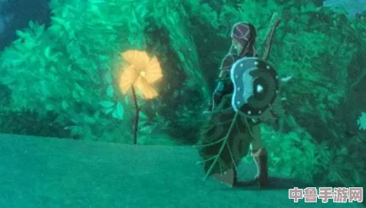 塞尔达树桩风车无响应之谜:一键解锁隐藏奖励的触发技巧! 塞尔达树桩风车无响应之谜:一键解锁隐藏奖励的触发技巧!