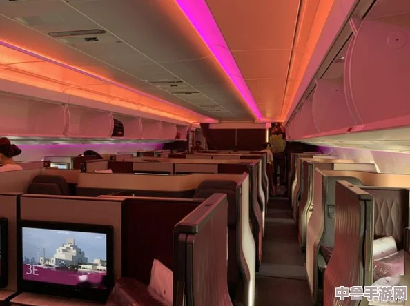头等舱客服的特殊待遇2:解锁空中VIP体验,开启云端奢华之旅 头等舱客服的特殊待遇2:解锁空中VIP体验,开启云端奢华之旅