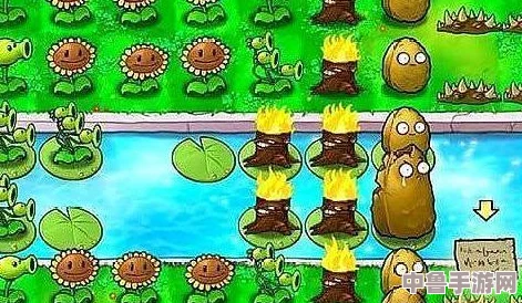 《火炬之光3》深度探索：神射手职业全+图文并茂全流程攻略秘籍！