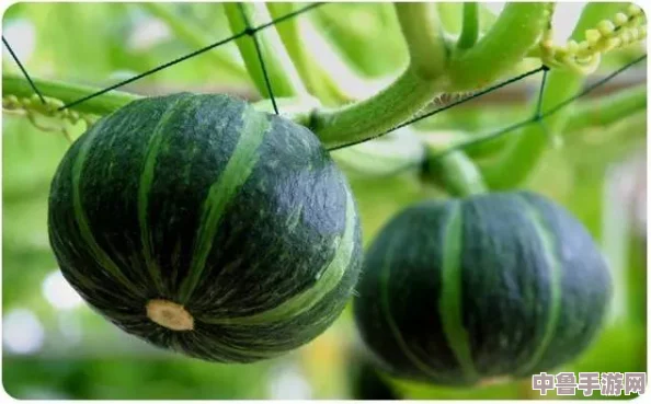 震惊!最新黑料吃瓜竟然藏着这么多秘密,网友:太刺激了,我要一口气看完! 震惊!最新黑料吃瓜竟然藏着这么多秘密,网友:太刺激了,我要一口气看完!