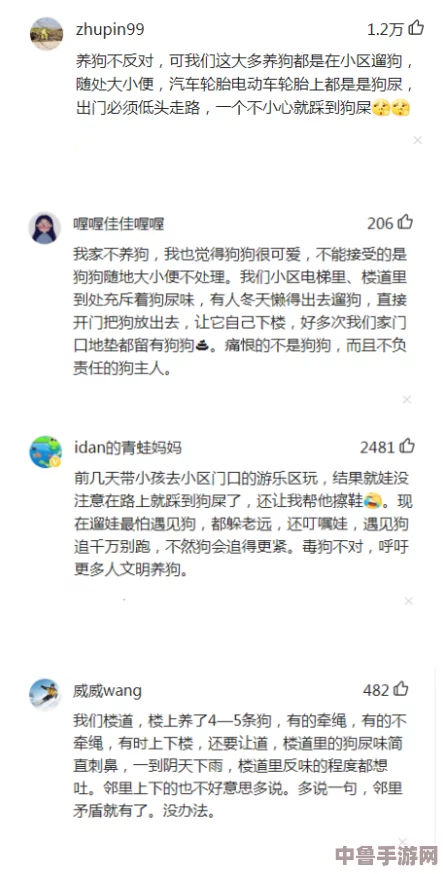 人狗大战Java代码难点解析：网友热评与高分背后的秘密揭秘