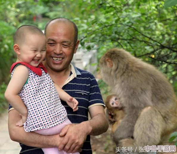 两个人一起生猴子，谁是猴王谁当爹？欢乐家庭养成记