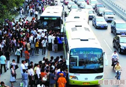 杨大壮和田桂花的公交车：爱情与梦想齐飞，一路向前不停歇的浪漫旅程
