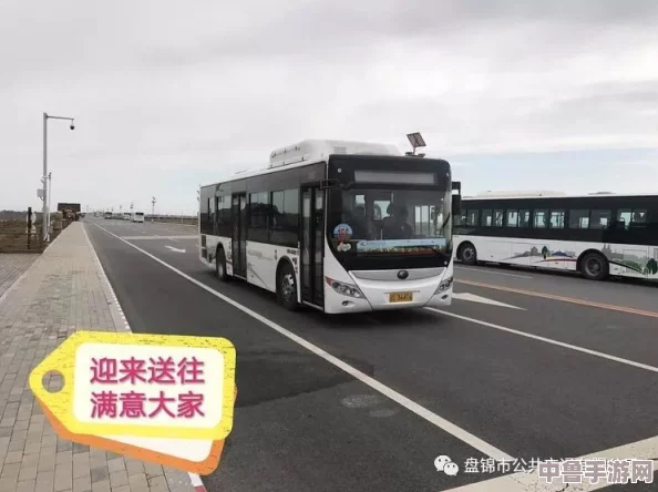 杨大壮和田桂花的公交车：爱情与梦想齐飞，一路向前不停歇的浪漫旅程