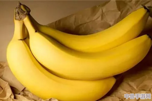 香蕉人力资源有限公司:让你的职场生涯像香蕉一样又甜又营养 香蕉人力资源有限公司:让你的职场生涯像香蕉一样又甜又营养