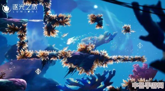 深度探索逐光之旅：全攻略秘籍解锁神秘旅程，必玩专区大