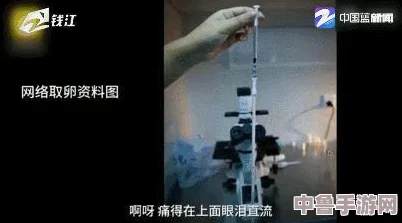 裸交交,谁是最后的赢家?揭秘这场赤裸裸的交易游戏背后的真相 裸交交,谁是最后的赢家?揭秘这场赤裸裸的交易游戏背后的真相