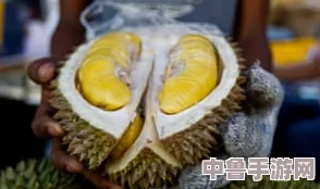 “jjzz榴莲视频”让人欲罢不能的奇妙体验，网友称其为视觉与听觉的双重盛宴