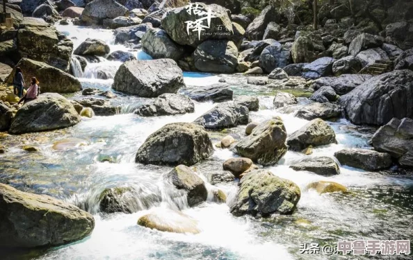 极品飞车福利码:引擎轰鸣,赛道狂飙,解锁你的速度与激情 极品飞车福利码:引擎轰鸣,赛道狂飙,解锁你的速度与激情