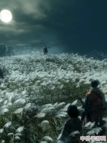 《只狼》隐藏剧情：鱼王陨落之谜，探寻最终安息之地！