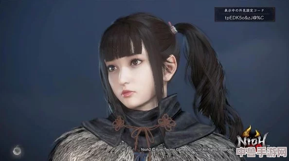 解锁仁王2个性化魅力！详尽捏脸代码使用指南与数据大全分享