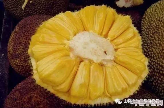 国精产品一一二二菠萝蜜：香甜多汁，解锁舌尖上的美味冒险！