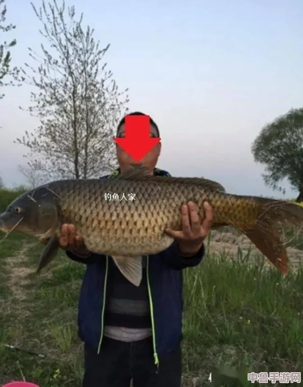 女人绝技鲤鱼喝水,一招制敌无形,男人看了都说绝 女人绝技鲤鱼喝水,一招制敌无形,男人看了都说绝