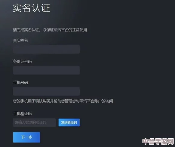 深度解析:蒸汽平台与Steam的全方位差异对比 深度解析:蒸汽平台与Steam的全方位差异对比