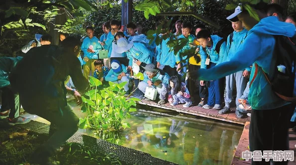 性东南亚xXx老少交：探秘热带雨林中的奇妙生态互动与代际交流