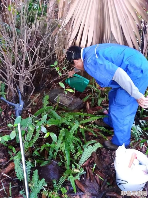 掌握四面八方之网秘技，轻松捕获野外珍稀生物全攻略