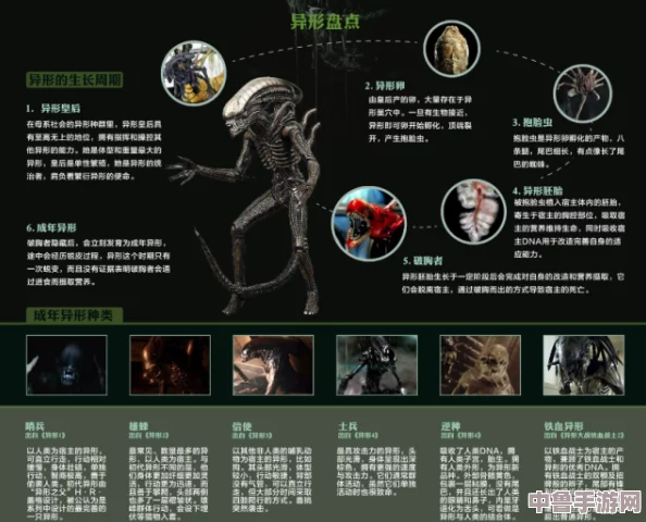 深入异形世界：黑暗核协议战役全解析，视频攻略合集助你征服未知宇宙！