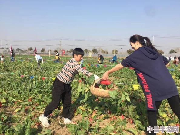 拔萝卜无减除大牛,农场主玩家齐欢呼,种田养殖乐趣多 拔萝卜无减除大牛,农场主玩家齐欢呼,种田养殖乐趣多