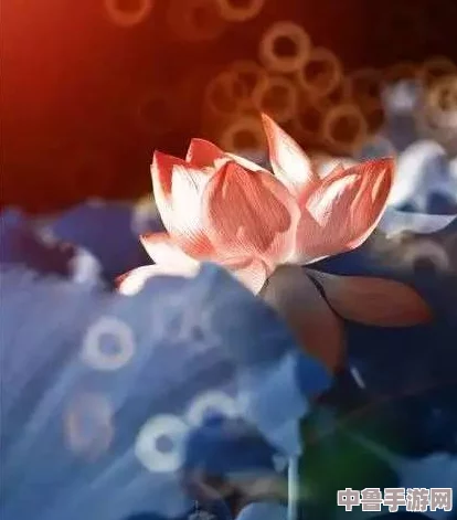 两瓣红莲今夜开什么意思?揭秘古诗中的隐喻与情愫,一起品味诗意人生 两瓣红莲今夜开什么意思?揭秘古诗中的隐喻与情愫,一起品味诗意人生