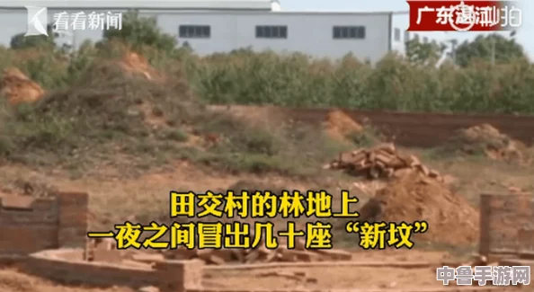 震惊!今日吃瓜91吃瓜中心张津瑜下架了吗？网友：这瓜保熟吗？真相令人意外