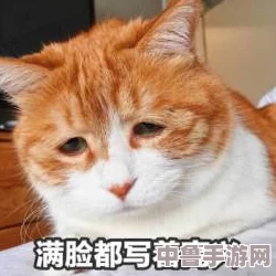 51热门大瓜今日大瓜最新胖猫:谁在暗中操纵这场瓜戏?揭秘背后的隐藏玩家 51热门大瓜今日大瓜最新胖猫:谁在暗中操纵这场瓜戏?揭秘背后的隐藏玩家