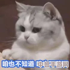 51热门大瓜今日大瓜最新胖猫：谁在暗中操纵这场瓜戏？揭秘背后的隐藏玩家