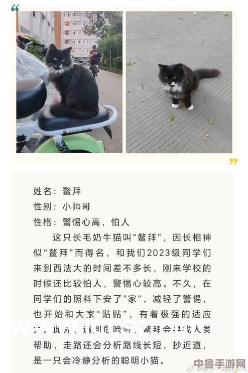 麻花传md0174苏蜜清歌许依然：探索角色深度，感受情感共鸣与故事魅力的完美交融