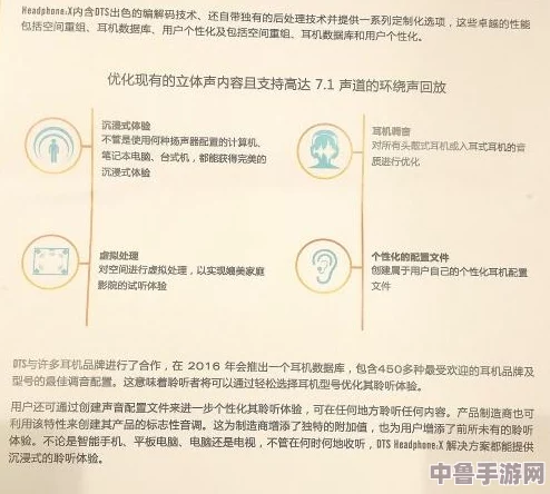 体内精69XXHD40一50，用户深度评测与独特见解，揭示内在秘密与真实体验分享