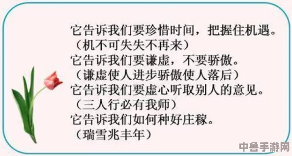 用你的大括号顶我的小括号,探索网络评论的智慧与见解在生活中的应用与启示 用你的大括号顶我的小括号,探索网络评论的智慧与见解在生活中的应用与启示