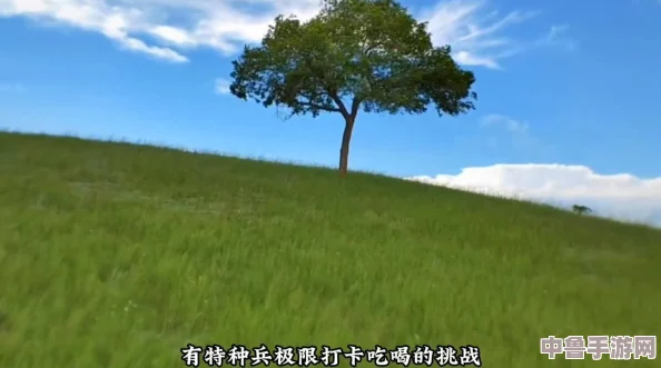 峡谷福利来袭!王者荣耀皮肤碎片商店2024更新表曝光,快来看看你心仪的皮肤上架了吗？
