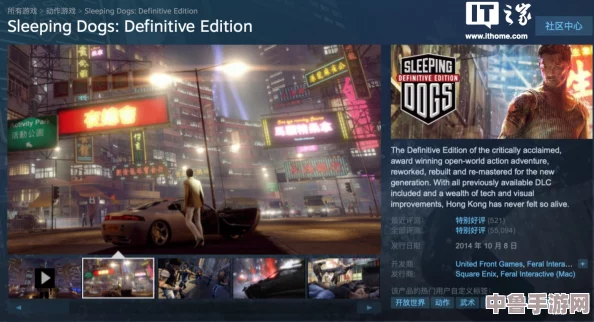 Steam《热血无赖》轻松切换中文设置，畅享无障碍游戏之旅！