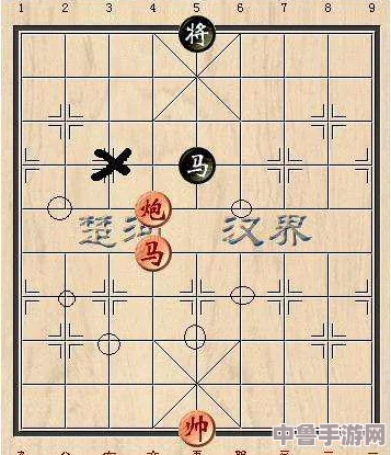 楚晚宁张腿放棋子微博图片，网友热议棋局背后的深意与精彩瞬间解析