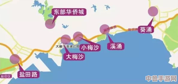 4虎突然不能用了2024,玩家们陷入迷茫,游戏世界何去何从？