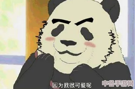 中国老太婆BBBB毛多水多，惊人的生活习惯与健康价值让人目瞪口呆！