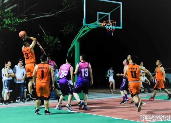 唐三桶阿银不亦乐乎NBA小说：球场上激情四溢，千姿百态的篮球生活让人沉醉不已！