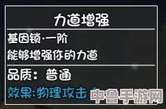 国外黄冈网站大揭秘：解锁全球学霸的秘密武器,你准备好了吗？